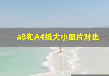 a8和A4纸大小图片对比