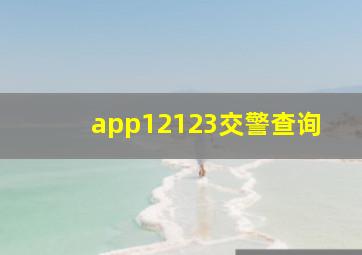 app12123交警查询