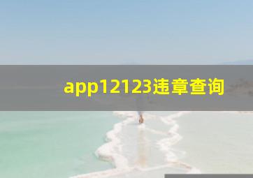 app12123违章查询