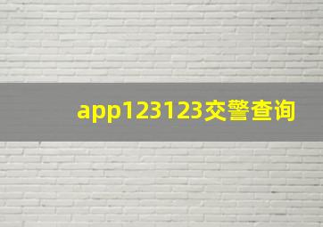 app123123交警查询