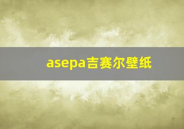 asepa吉赛尔壁纸