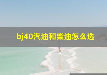 bj40汽油和柴油怎么选