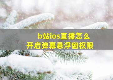 b站ios直播怎么开启弹幕悬浮窗权限