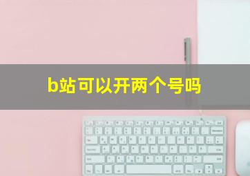 b站可以开两个号吗