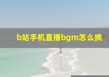 b站手机直播bgm怎么搞