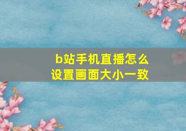 b站手机直播怎么设置画面大小一致