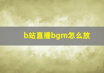 b站直播bgm怎么放