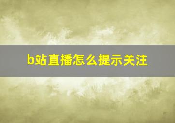 b站直播怎么提示关注