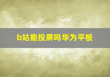 b站能投屏吗华为平板