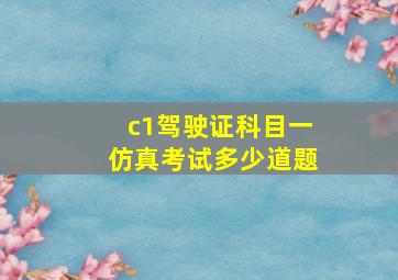 c1驾驶证科目一仿真考试多少道题