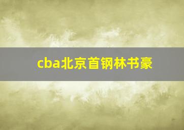 cba北京首钢林书豪