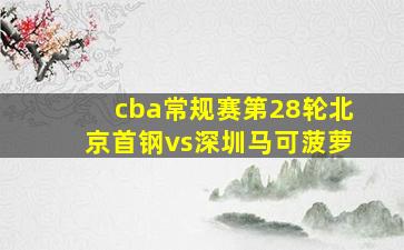 cba常规赛第28轮北京首钢vs深圳马可菠萝