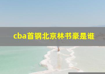 cba首钢北京林书豪是谁