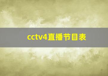 cctv4直播节目表