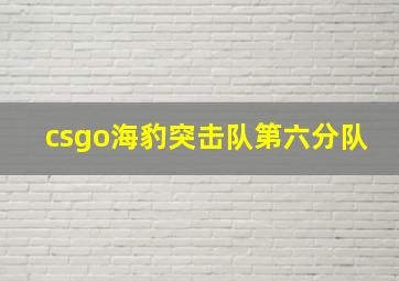 csgo海豹突击队第六分队