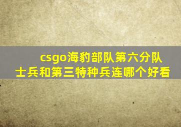 csgo海豹部队第六分队士兵和第三特种兵连哪个好看