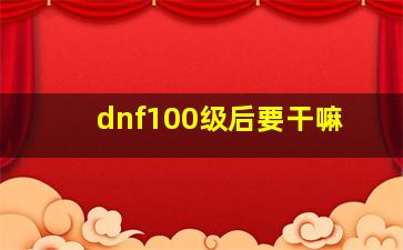 dnf100级后要干嘛