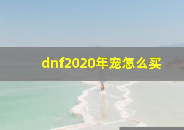 dnf2020年宠怎么买