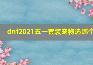 dnf2021五一套装宠物选哪个