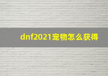 dnf2021宠物怎么获得