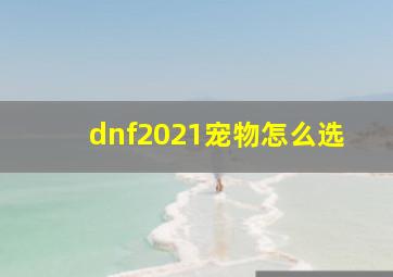 dnf2021宠物怎么选