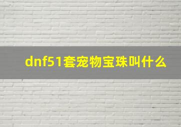 dnf51套宠物宝珠叫什么