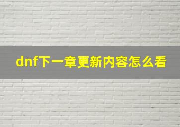 dnf下一章更新内容怎么看