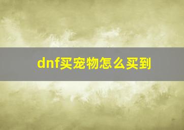 dnf买宠物怎么买到