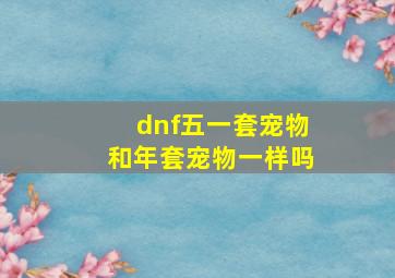 dnf五一套宠物和年套宠物一样吗