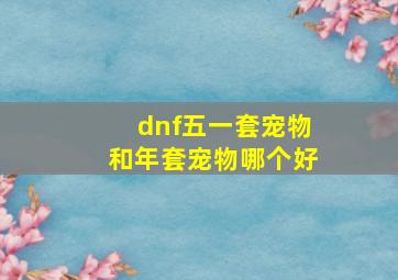 dnf五一套宠物和年套宠物哪个好