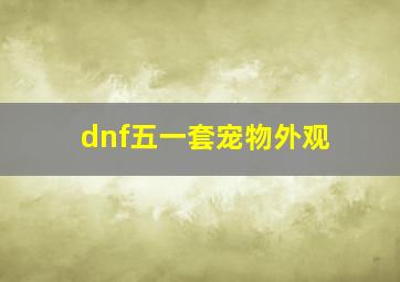 dnf五一套宠物外观