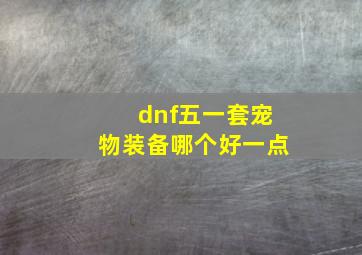 dnf五一套宠物装备哪个好一点