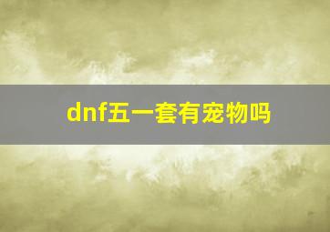 dnf五一套有宠物吗