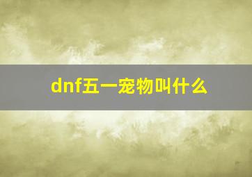 dnf五一宠物叫什么