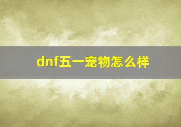 dnf五一宠物怎么样