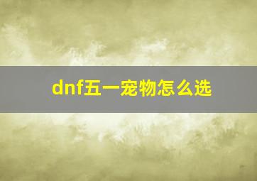 dnf五一宠物怎么选