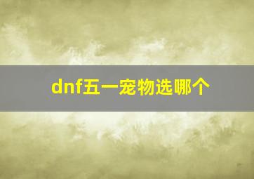 dnf五一宠物选哪个