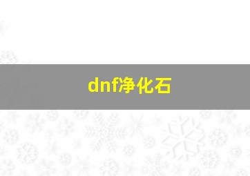 dnf净化石