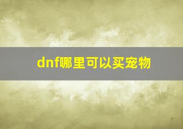 dnf哪里可以买宠物