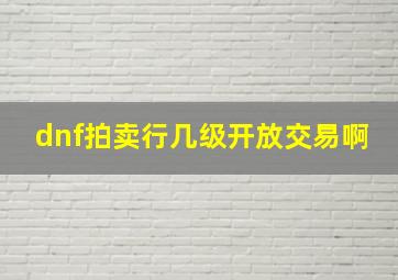 dnf拍卖行几级开放交易啊