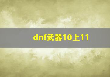 dnf武器10上11