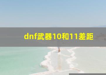 dnf武器10和11差距