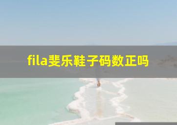 fila斐乐鞋子码数正吗