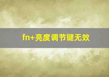 fn+亮度调节键无效