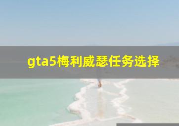 gta5梅利威瑟任务选择