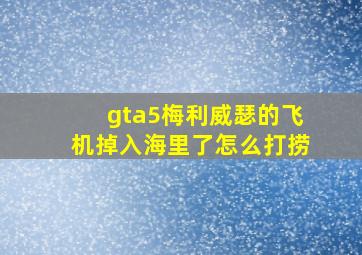 gta5梅利威瑟的飞机掉入海里了怎么打捞