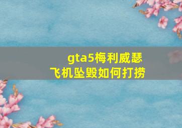 gta5梅利威瑟飞机坠毁如何打捞