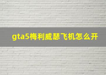 gta5梅利威瑟飞机怎么开