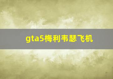 gta5梅利韦瑟飞机