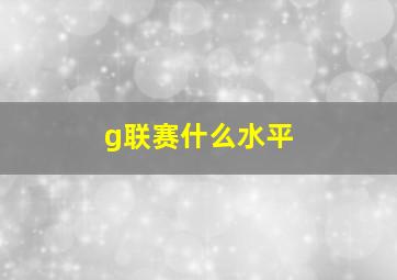 g联赛什么水平